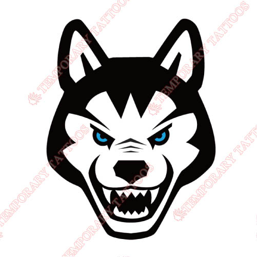 Northeastern Huskies Customize Temporary Tattoos Stickers NO.5639